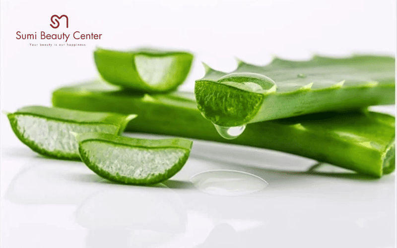 Nha đam hỗ trợ phục hồi và kháng viêm