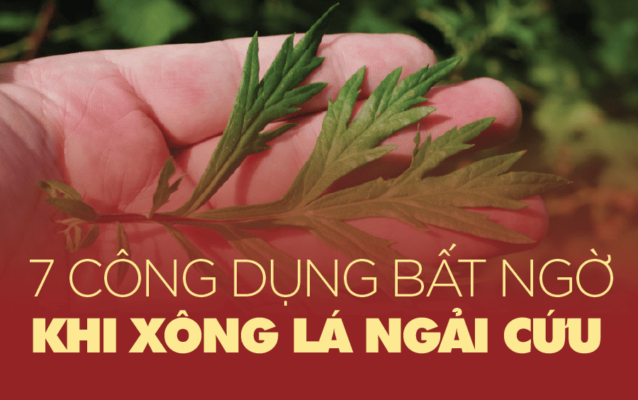 xông lá ngải cứu có tác dụng gì