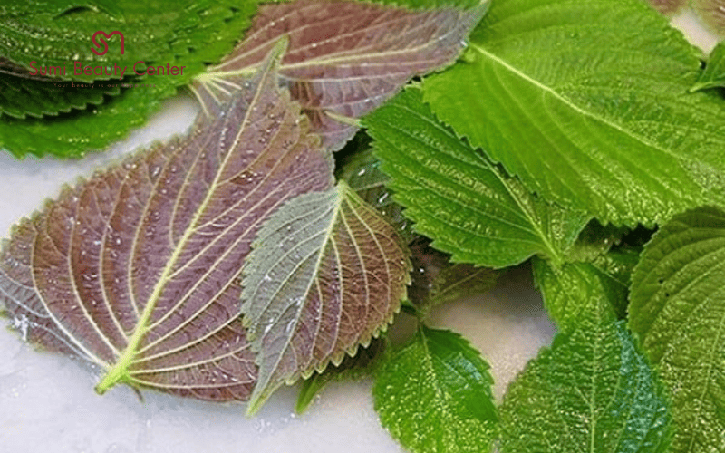 Xông mặt bằng lá tía tô có tác dụng gì